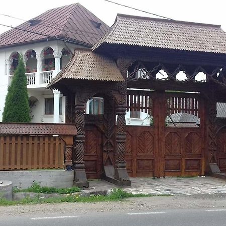 Pensiunea Denisa Hotel Bîrsana Exterior foto