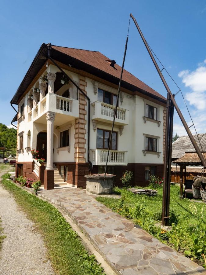 Pensiunea Denisa Hotel Bîrsana Exterior foto