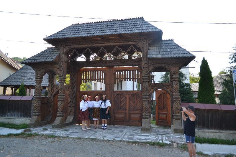 Pensiunea Denisa Hotel Bîrsana Exterior foto